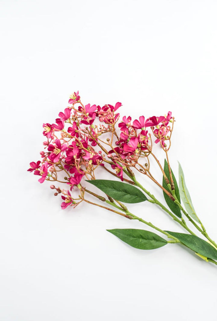 Pink Daphne Spray - Greenery Market29477BT