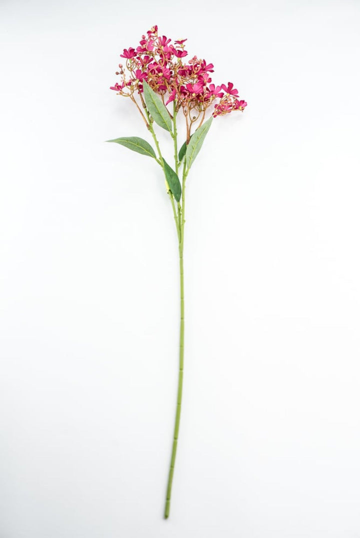 Pink Daphne Spray - Greenery Market29477BT