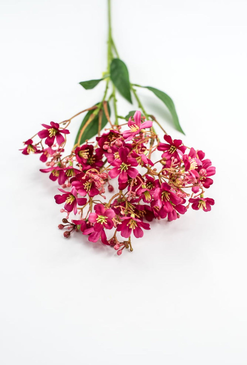 Pink Daphne Spray - Greenery Market29477BT