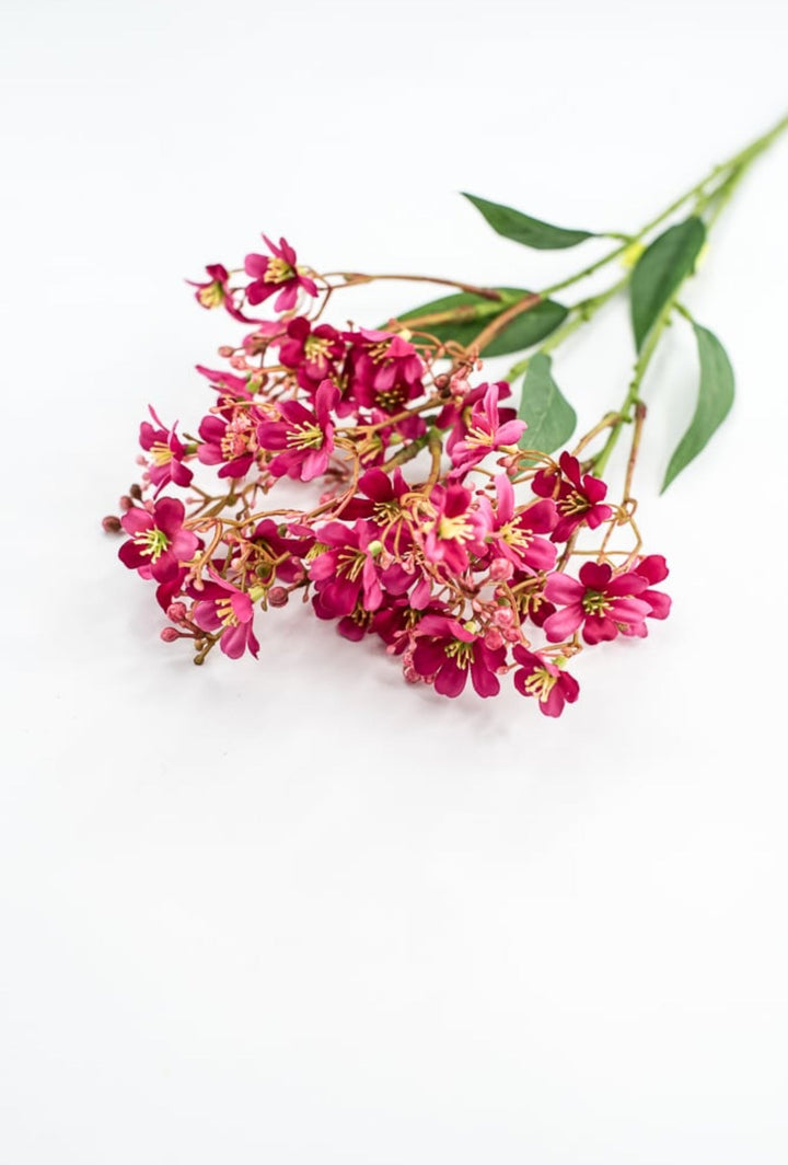 Pink Daphne Spray - Greenery Market29477BT