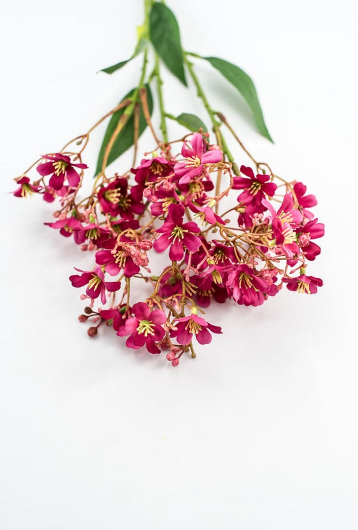 Pink Daphne Spray - Greenery Market29477BT