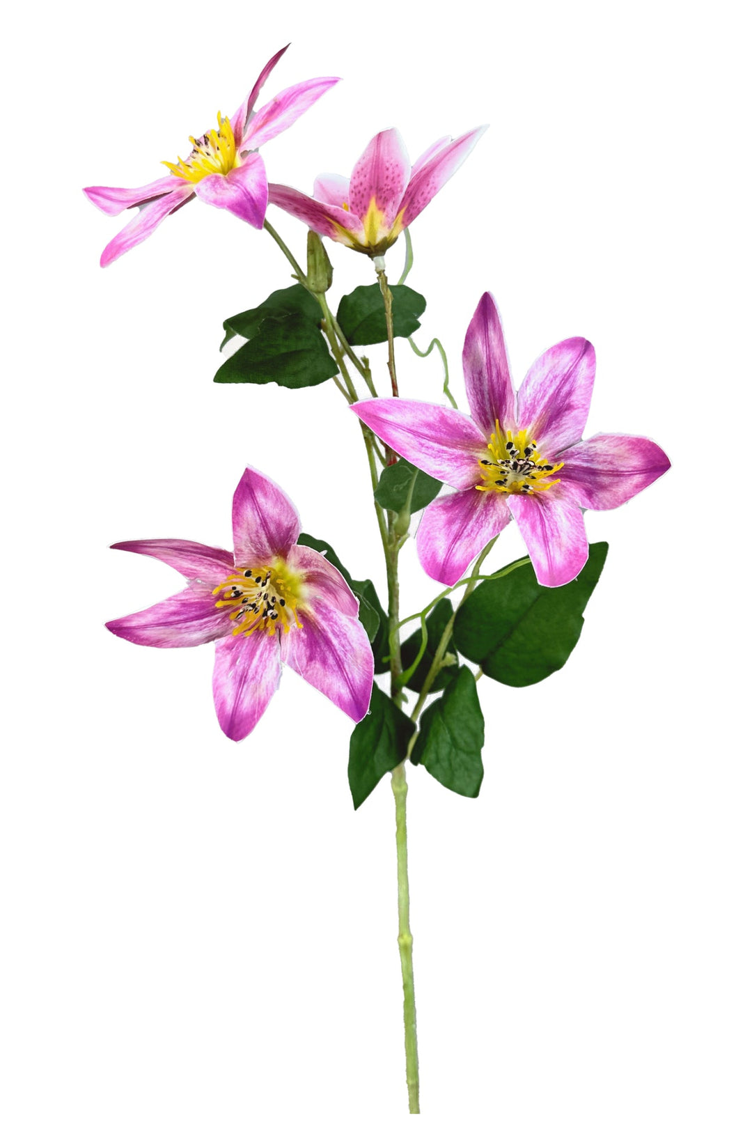 Pink Lavender Clematis Flower Spray - Greenery Market29474LV