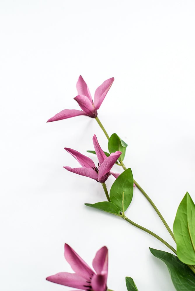 Pink Magenta Clematis Spray - Greenery Market220626