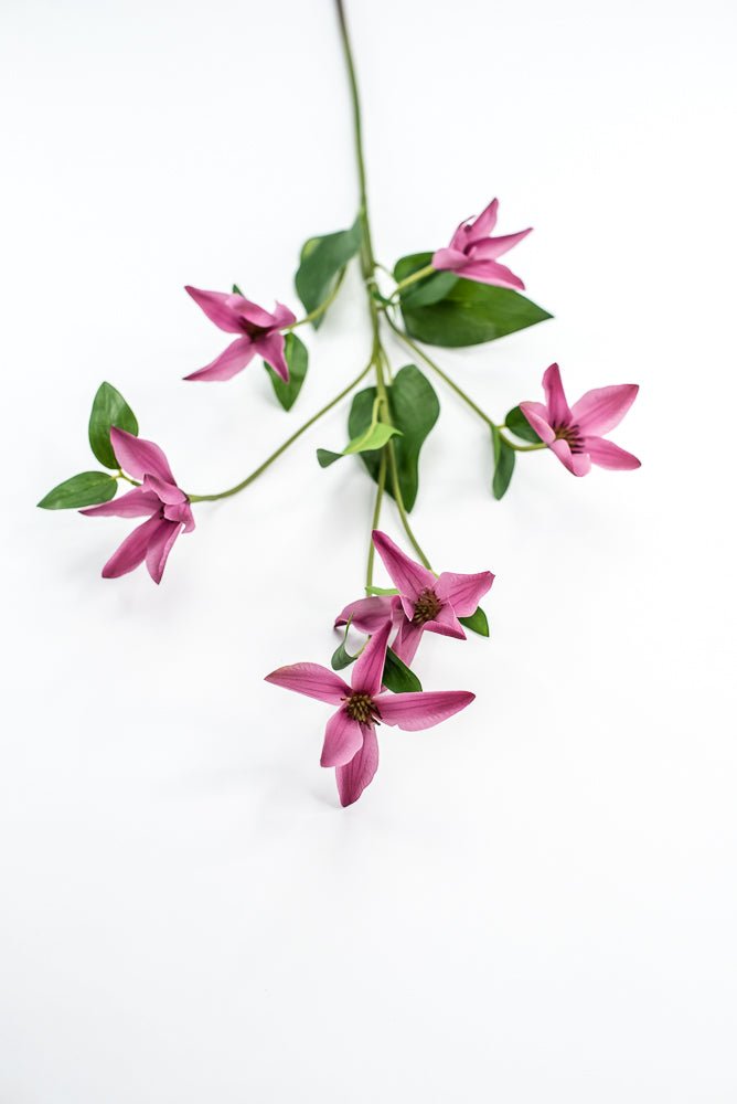Pink Magenta Clematis Spray - Greenery Market220626