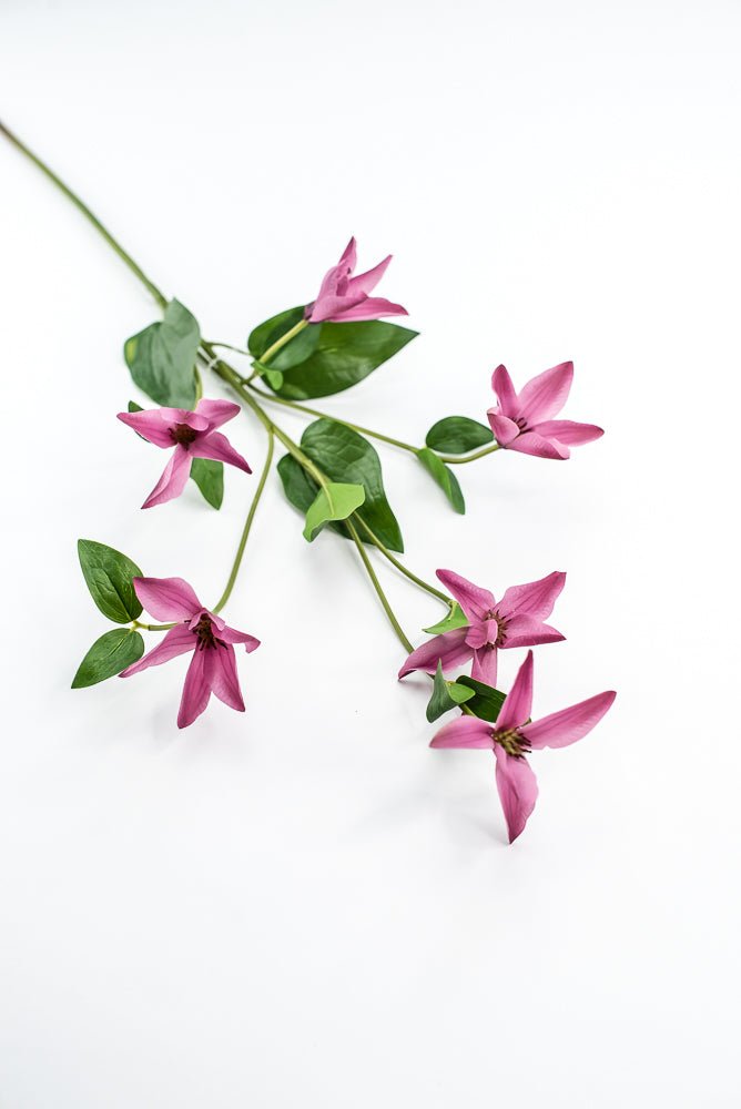 Pink Magenta Clematis Spray - Greenery Market220626