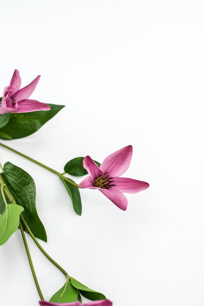 Pink Magenta Clematis Spray - Greenery Market220626