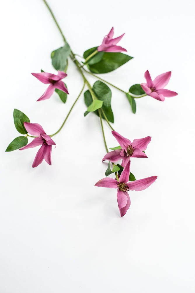 Pink Magenta Clematis Spray - Greenery Market220626