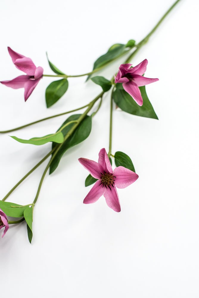 Pink Magenta Clematis Spray - Greenery Market220626