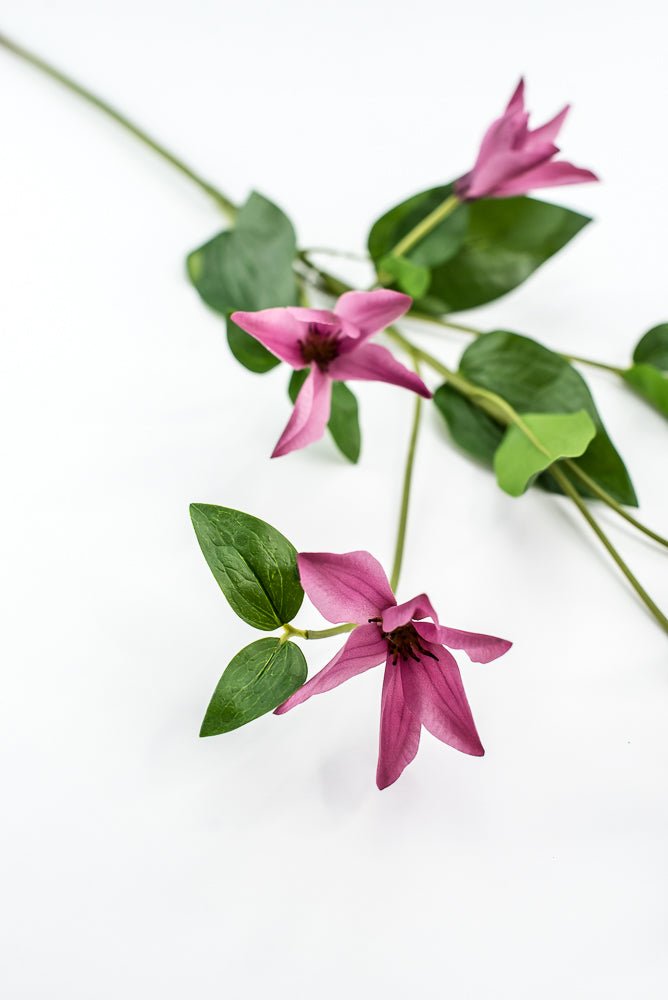 Pink Magenta Clematis Spray - Greenery Market220626