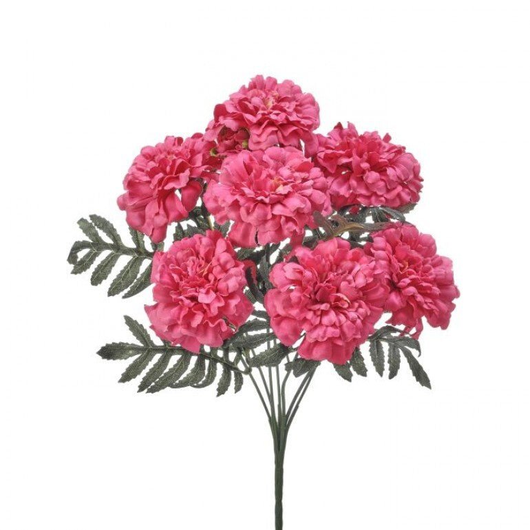 Pink marigold bush - Greenery MarketMTF24335 MAGE