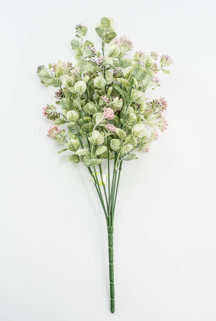 Pink Sedium Filler Bush - Greenery Market13635PK