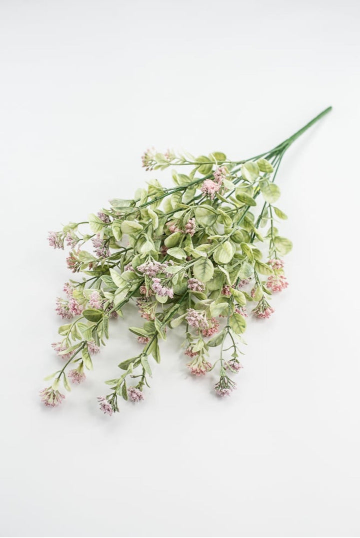 Pink Sedium Filler Bush - Greenery Market13635PK