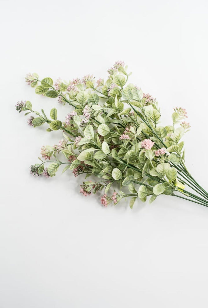 Pink Sedium Filler Bush - Greenery Market13635PK