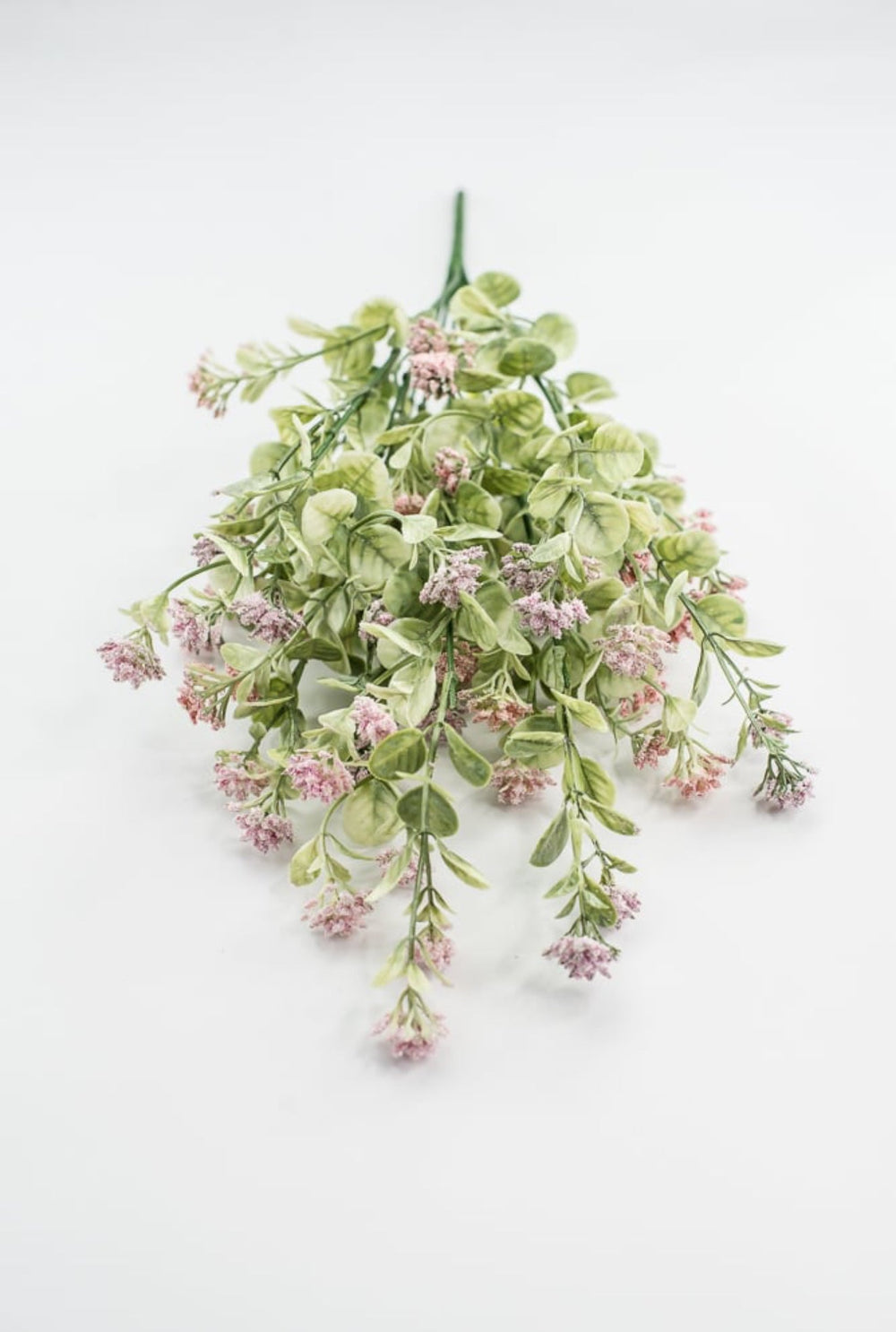 Pink Sedium Filler Bush - Greenery Market13635PK