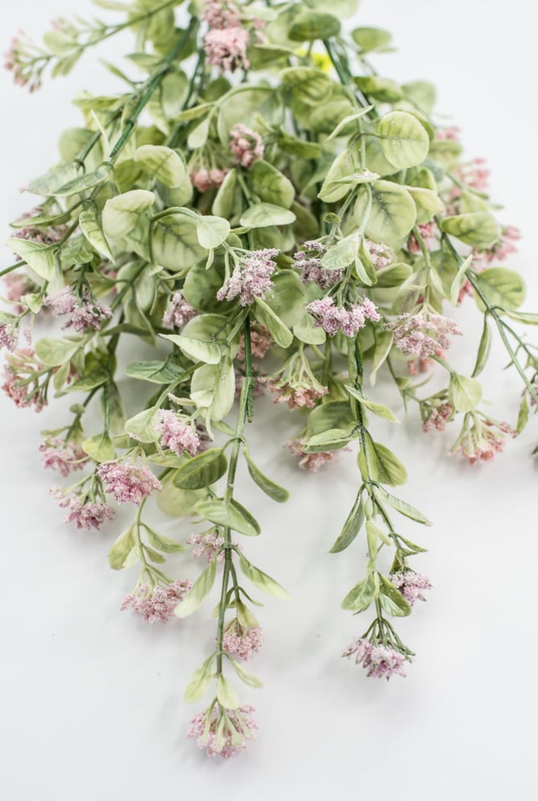 Pink Sedium Filler Bush - Greenery Market13635PK