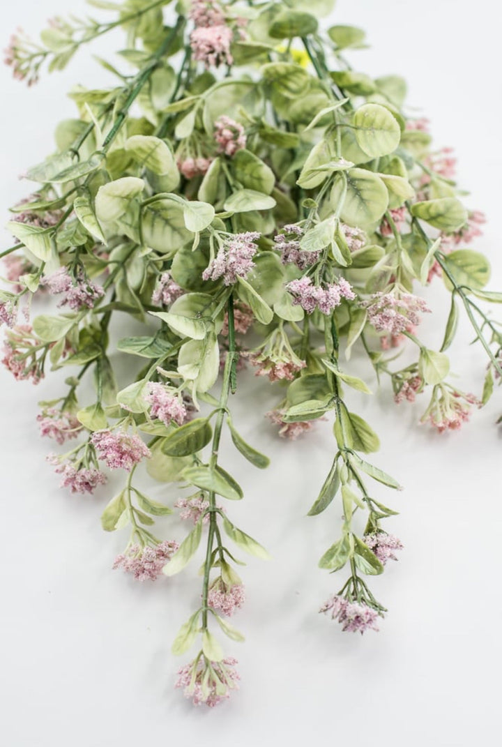 Pink Sedium Filler Bush - Greenery Market13635PK