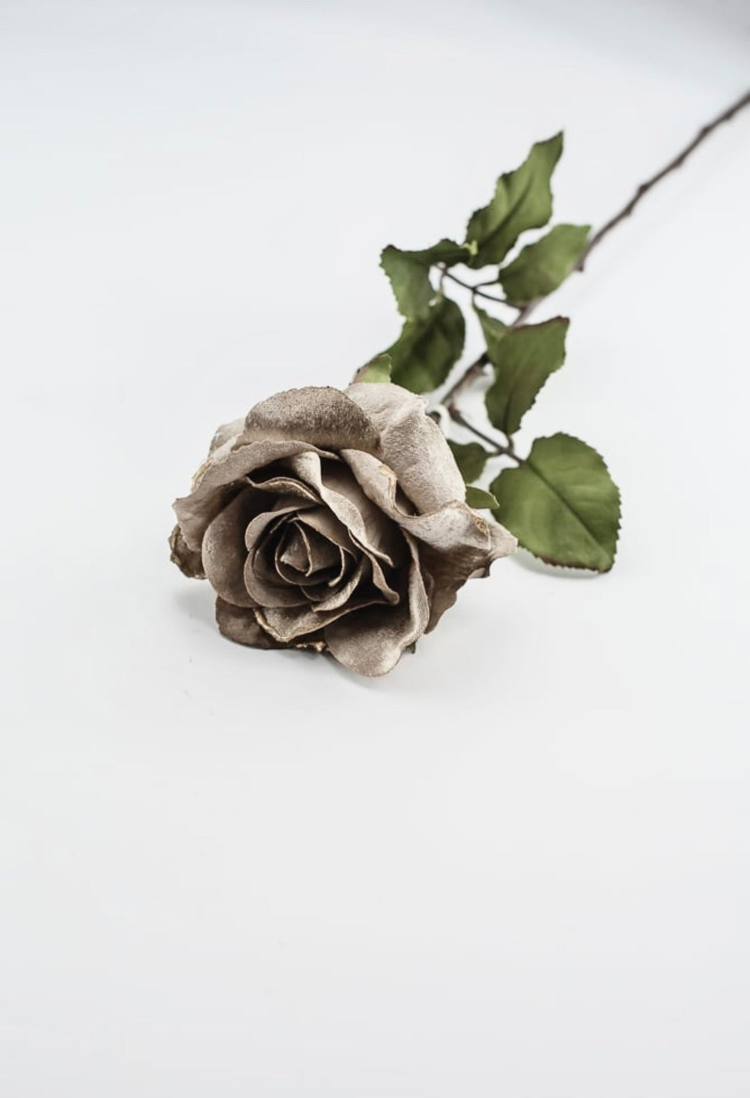Platinum velvet rose stem - Greenery MarketXH531 - PT