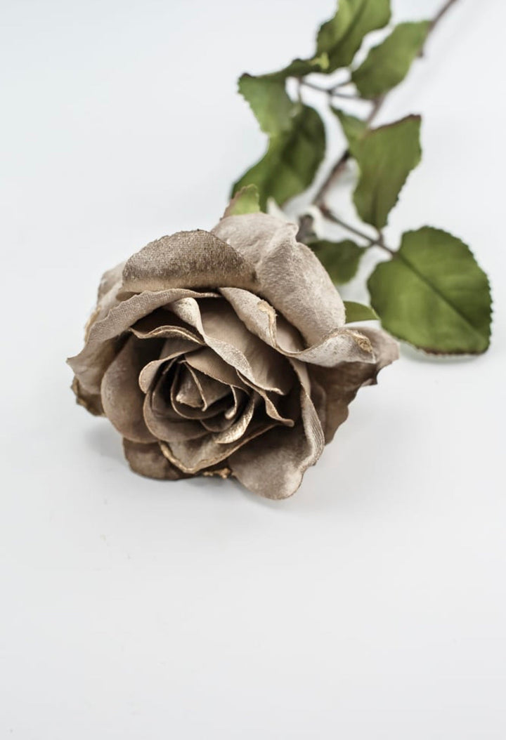Platinum velvet rose stem - Greenery MarketXH531 - PT