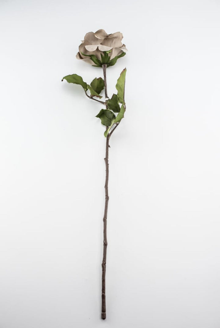 Platinum velvet rose stem - Greenery MarketXH531 - PT
