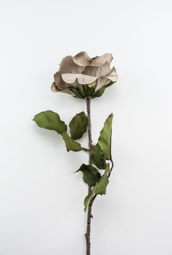 Platinum velvet rose stem - Greenery MarketXH531 - PT