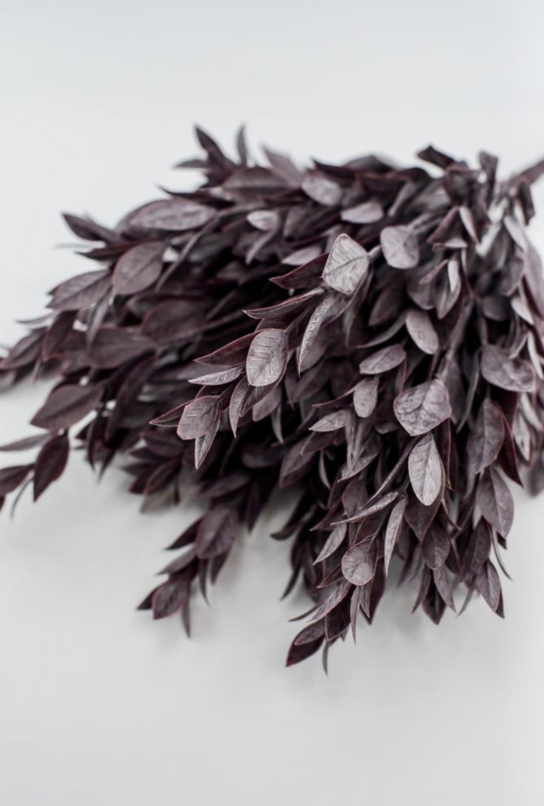 Plum, Artificial greenery ruscus bush - Greenery Marketspring summer greenery25751