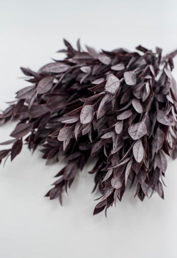 Plum, Artificial greenery ruscus bush - Greenery Marketspring summer greenery25751