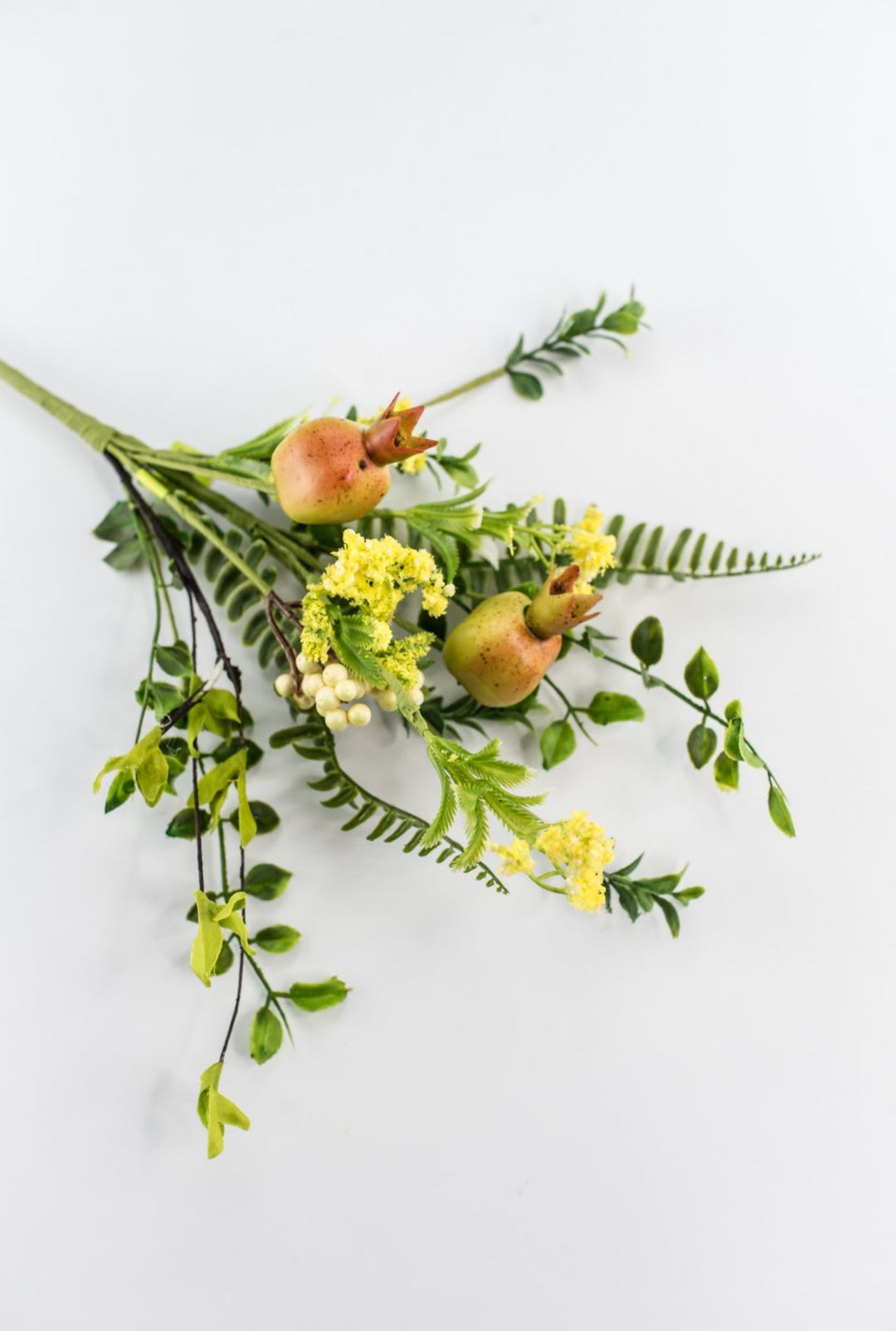 Pod Fern Pick - Greenery Market63590NAT