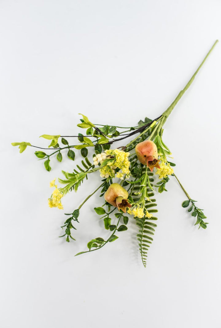 Pod Fern Pick - Greenery Market63590NAT