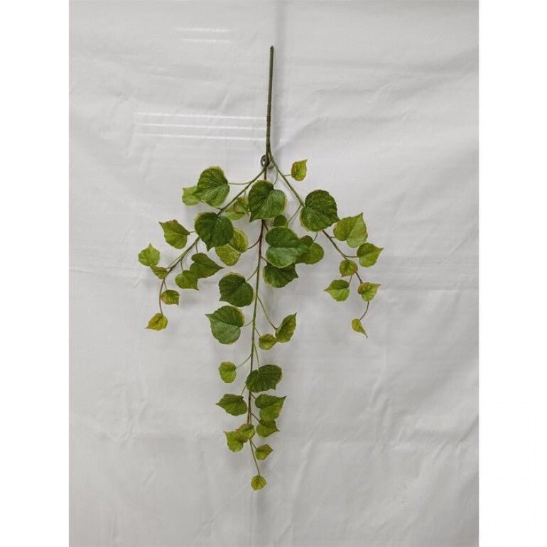 Potatoe Leaf Spray x Bulk 6 Sprays - Greenery MarketMTF24585