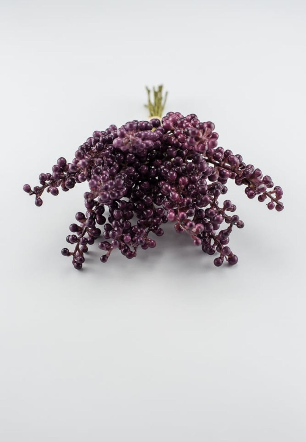 Purple Berry bundle - Greenery Market2110152PP