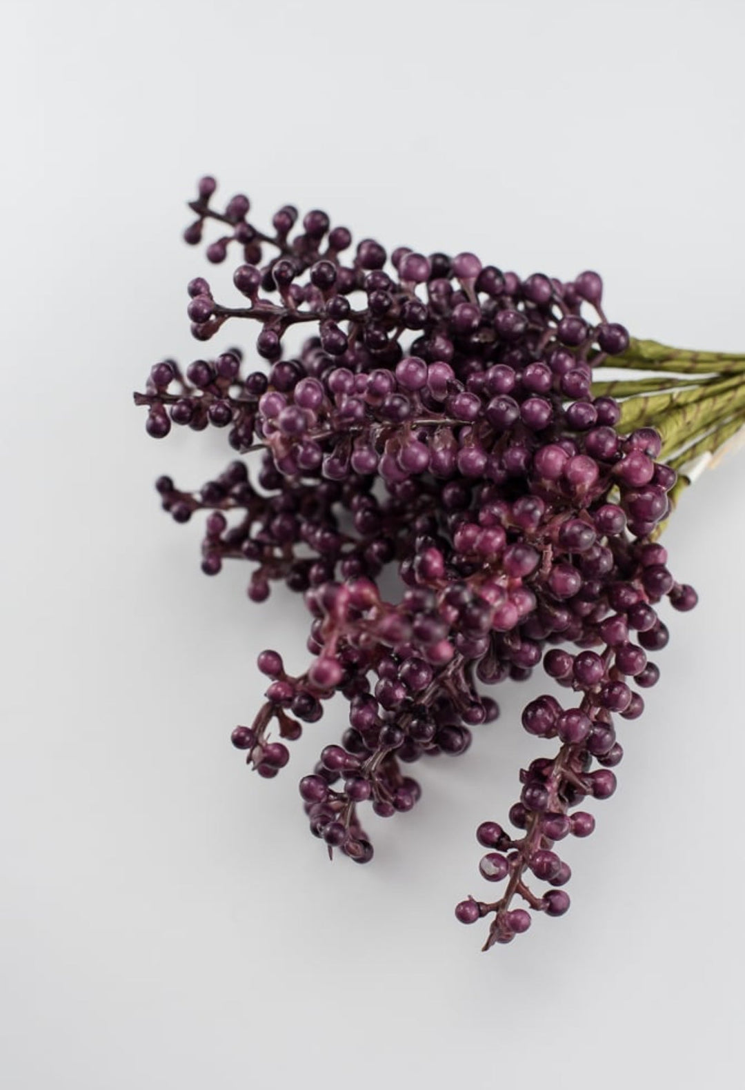Purple Berry bundle - Greenery Market2110152PP