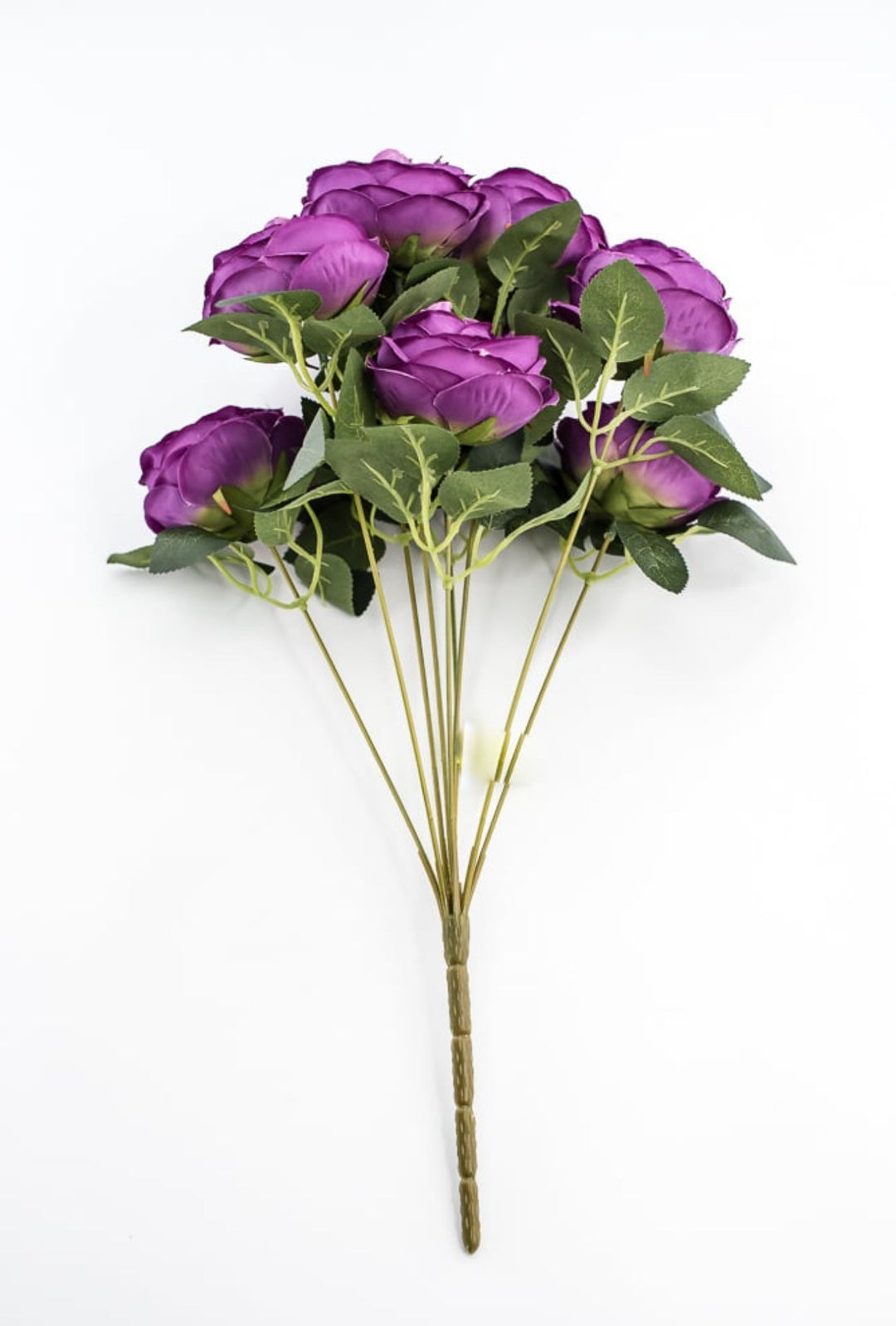 Purple Cabbage Rose Bush - Greenery Market35133PU