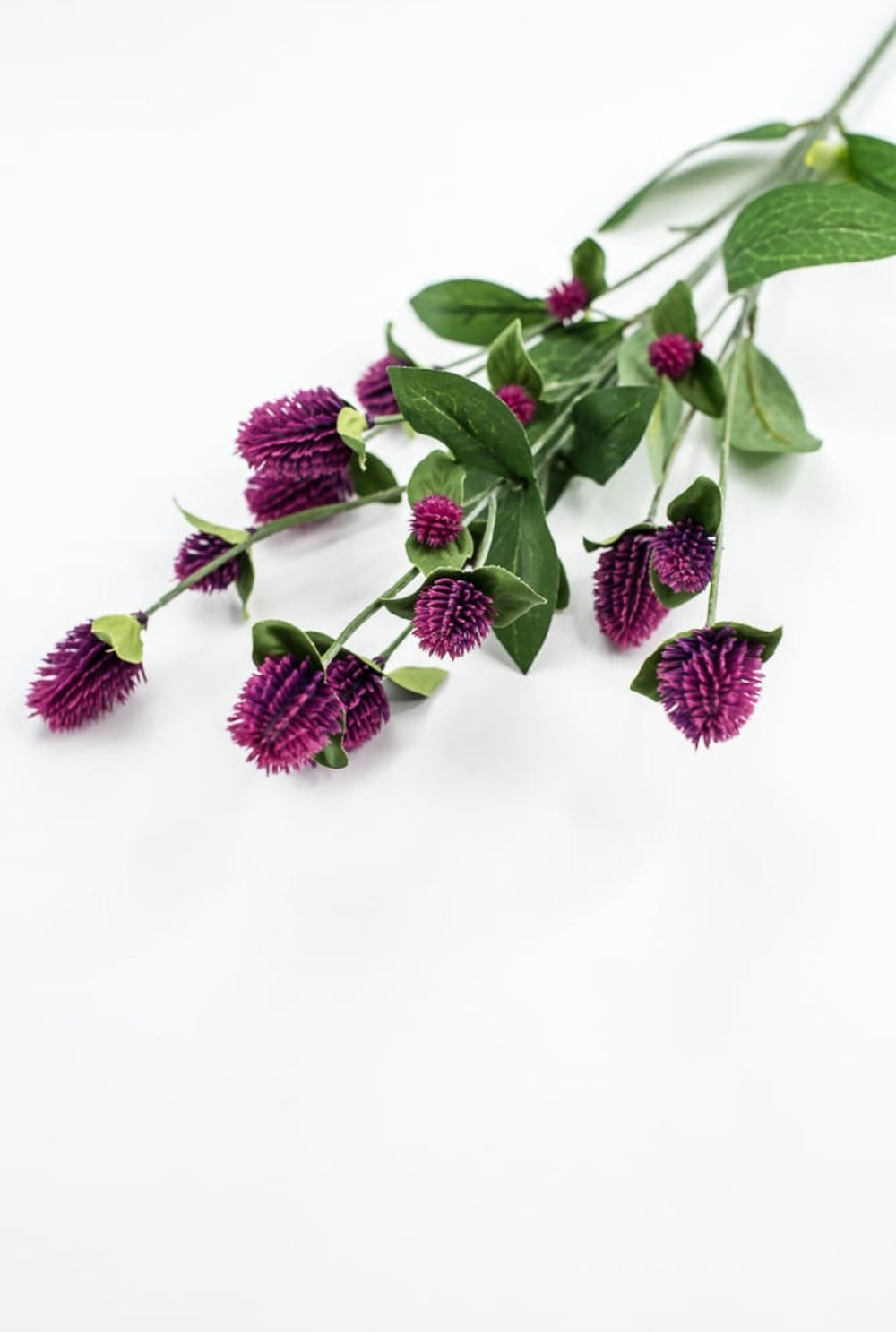 Purple Globosa Spray - Greenery Market63675PU