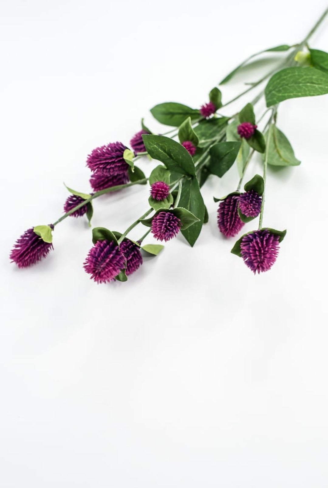 Purple Globosa Spray - Greenery Market63675PU