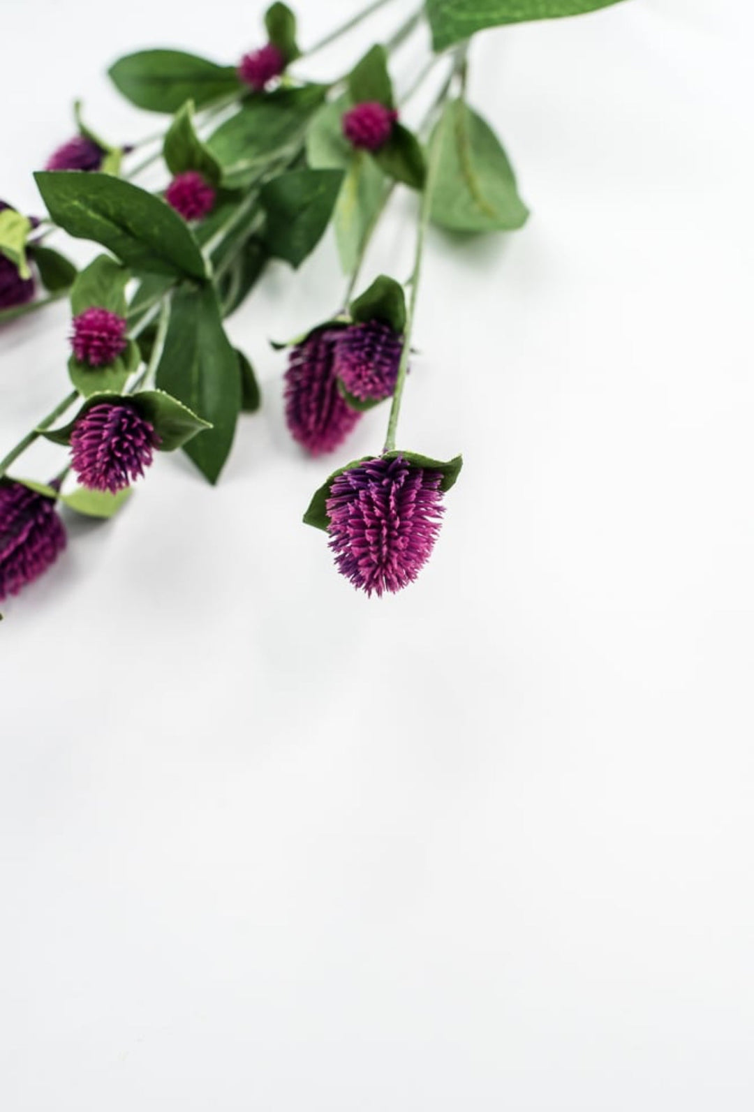Purple Globosa Spray - Greenery Market63675PU