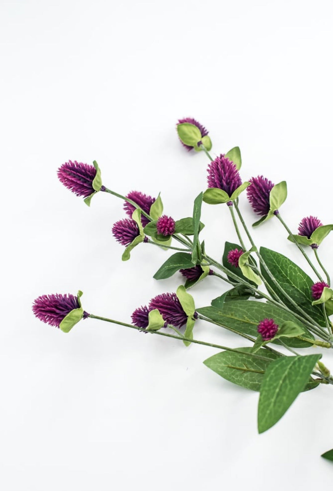 Purple Globosa Spray - Greenery Market63675PU