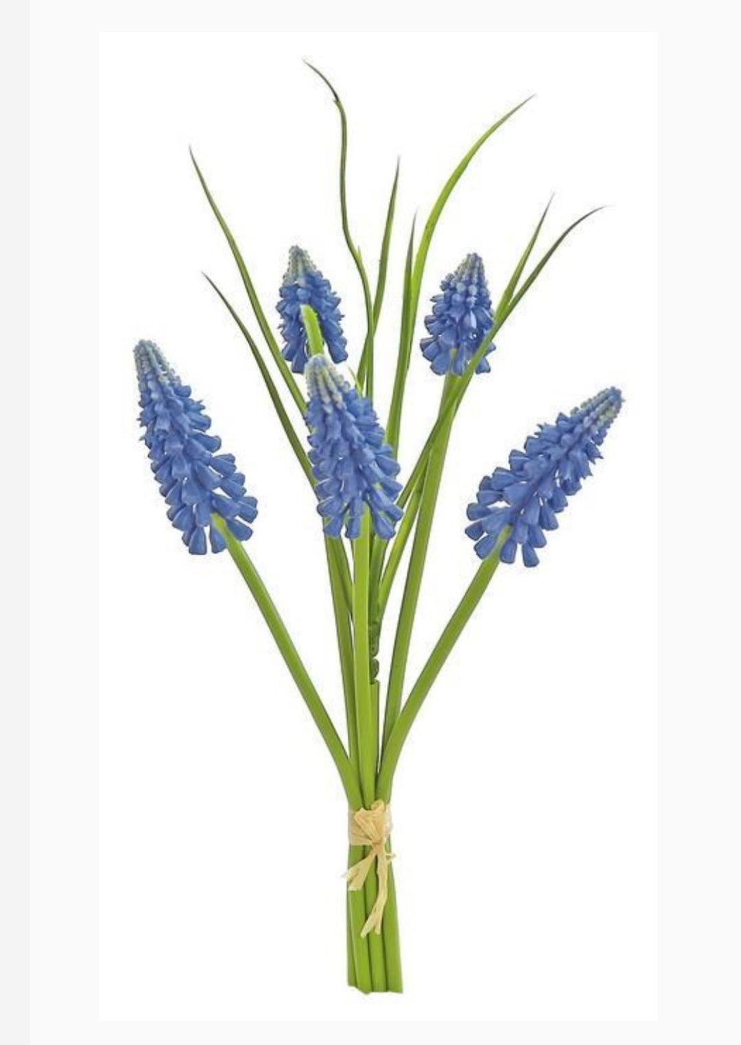 Purple hyacinth bundle - Greenery Market2594 - B