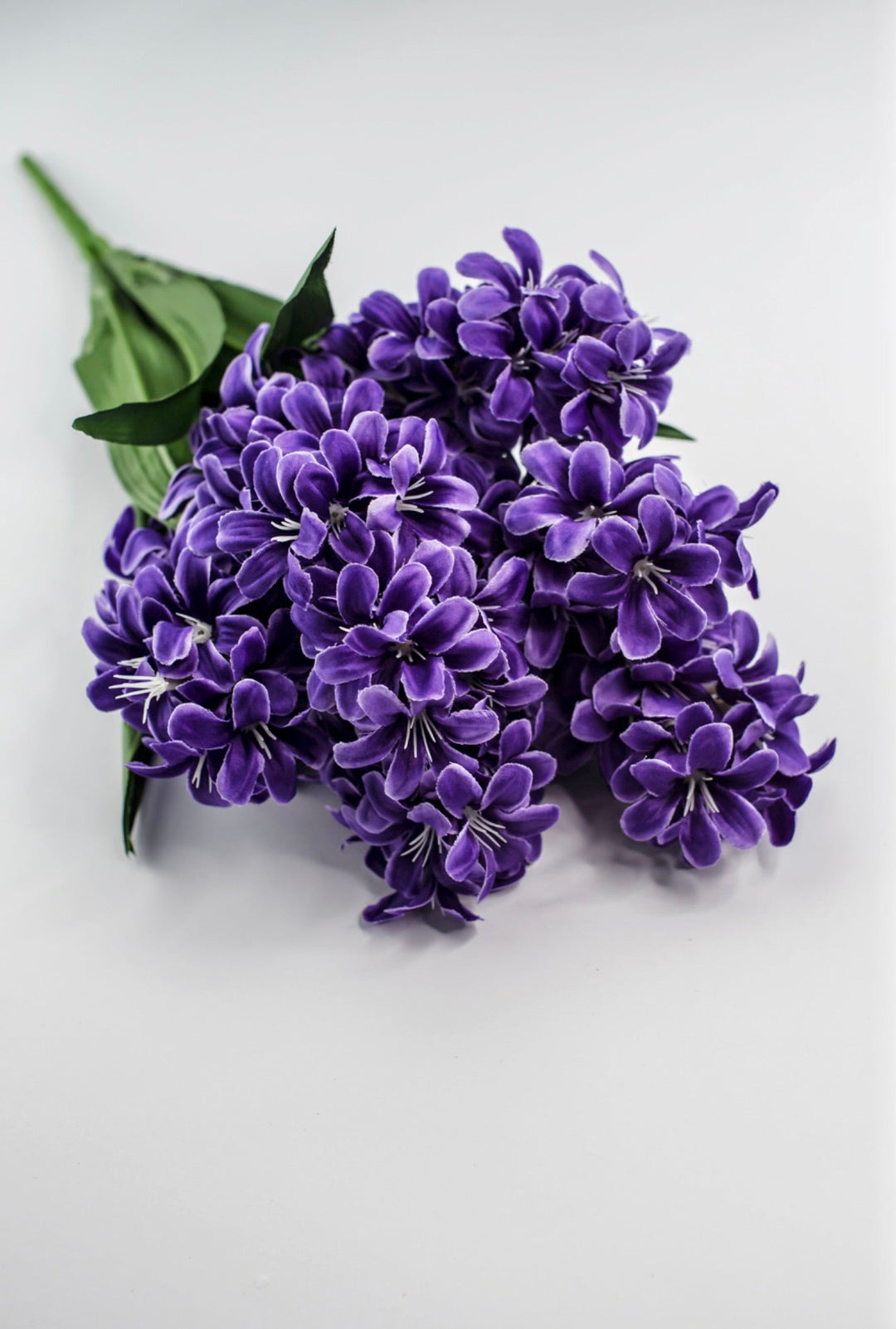 Purple hyacinth bush - Greenery Market84889 - PU