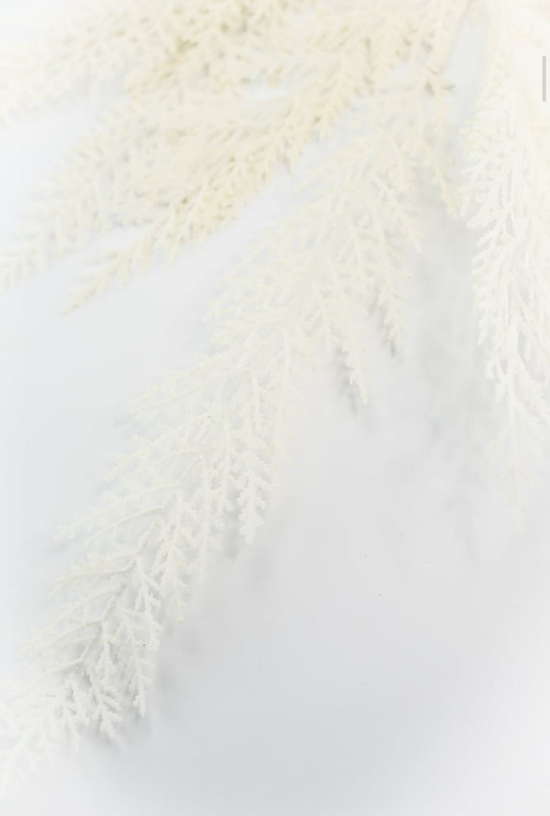 Raz cream cedar pine spray - Greenery MarketF4441756