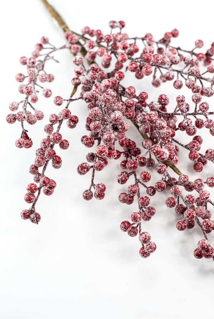 Raz imports Red frosted berries spray - Greenery MarketWinter and ChristmasF4306780
