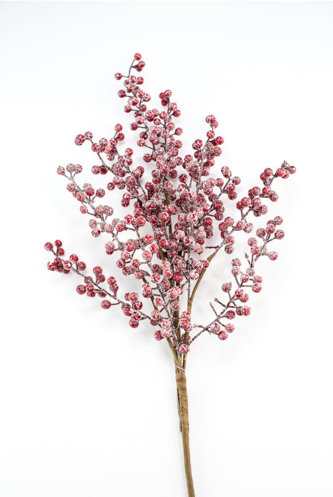 Raz imports Red frosted berries spray - Greenery MarketWinter and ChristmasF4306780