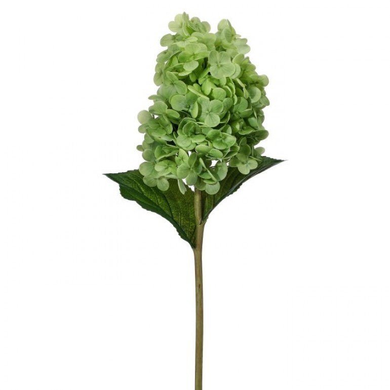 Real touch, Cone Hydrangea stem - green - Greenery MarketMTF24423 GRN