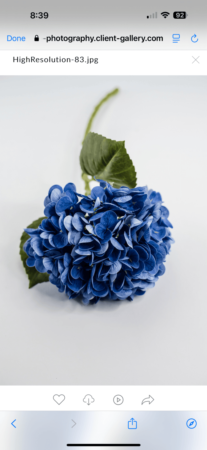 Real touch, Hydrangea stem - dark blue - Greenery MarketMTF24138 DKBL