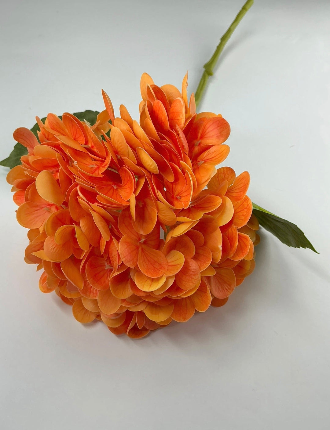 Real touch, Hydrangea stem - orange - Greenery MarketMTF24138 ORNG