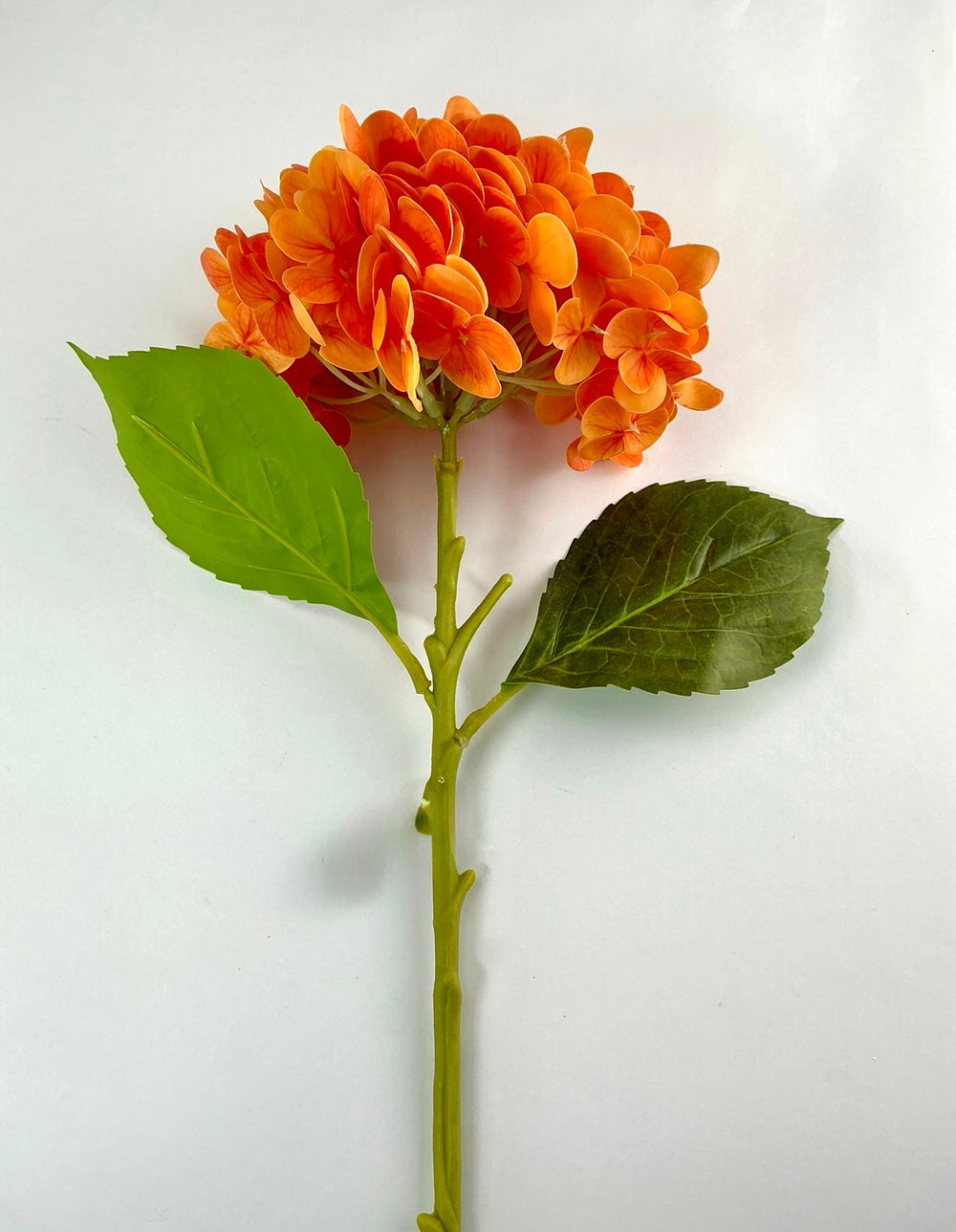 Real touch, Hydrangea stem - orange - Greenery MarketMTF24138 ORNG