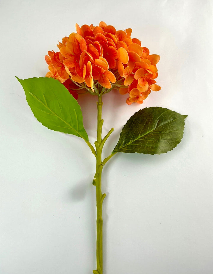 Real touch, Hydrangea stem - orange - Greenery MarketMTF24138 ORNG