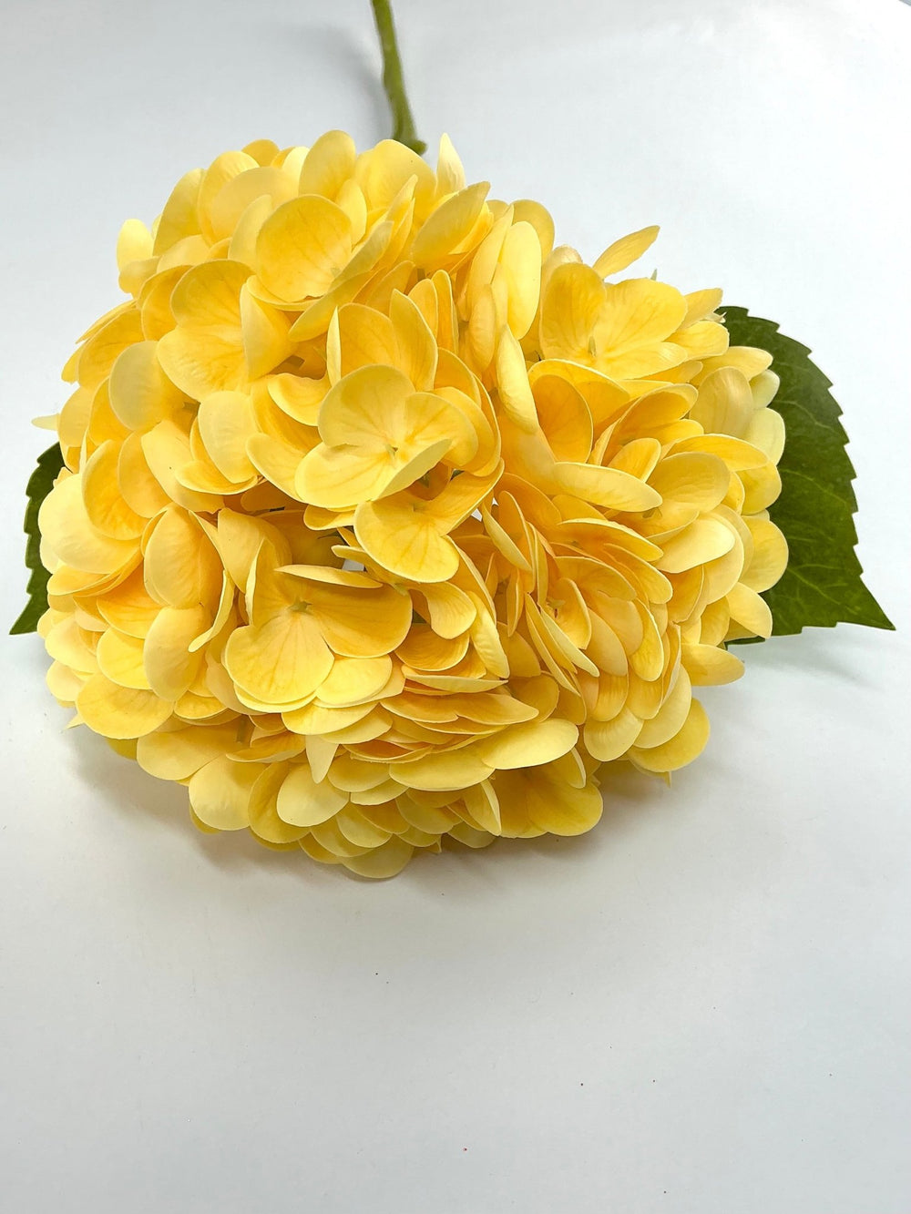 Real touch, Hydrangea stem - yellow - Greenery MarketMTF24138 YELL