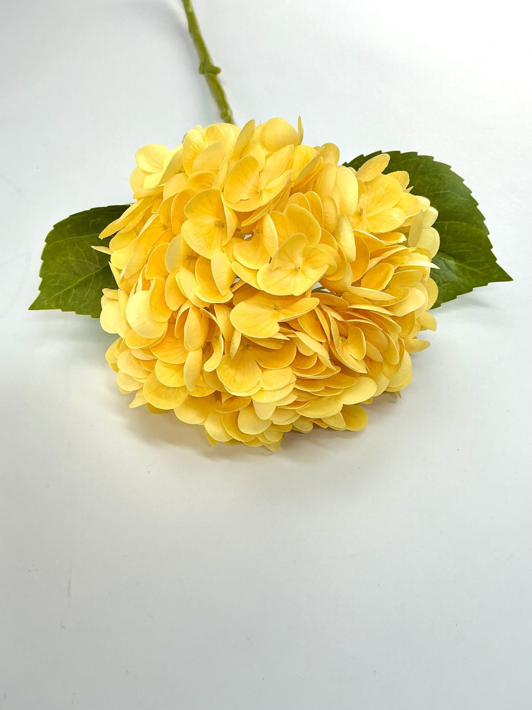 Real touch, Hydrangea stem - yellow - Greenery MarketMTF24138 YELL