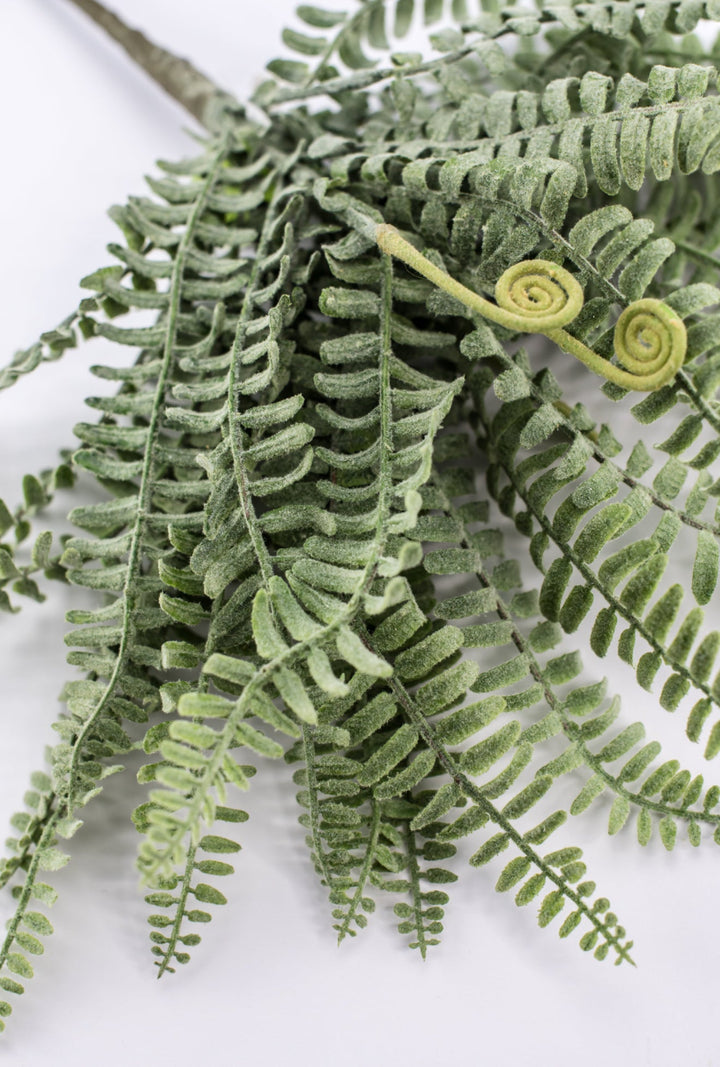 Real touch, leather leaf fern bush - Greenery MarketgreeneryMTF23824