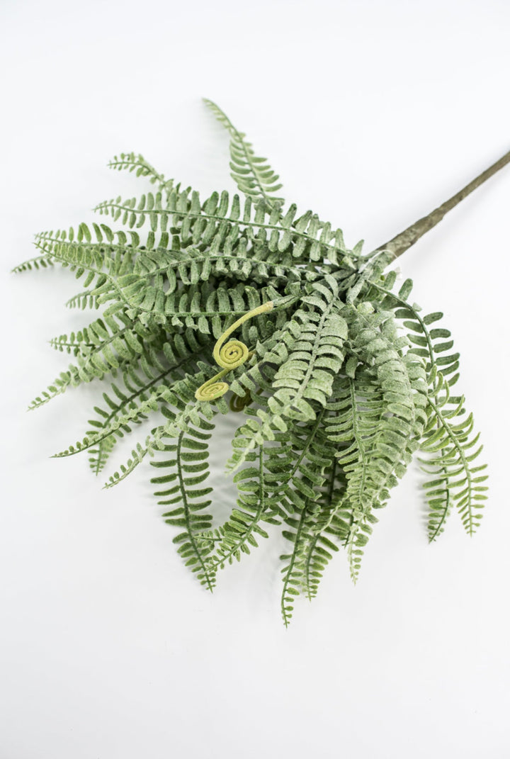 Real touch, leather leaf fern bush - Greenery MarketgreeneryMTF23824